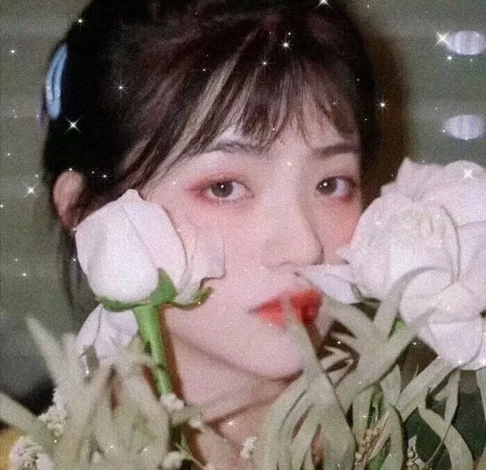美国玛丽